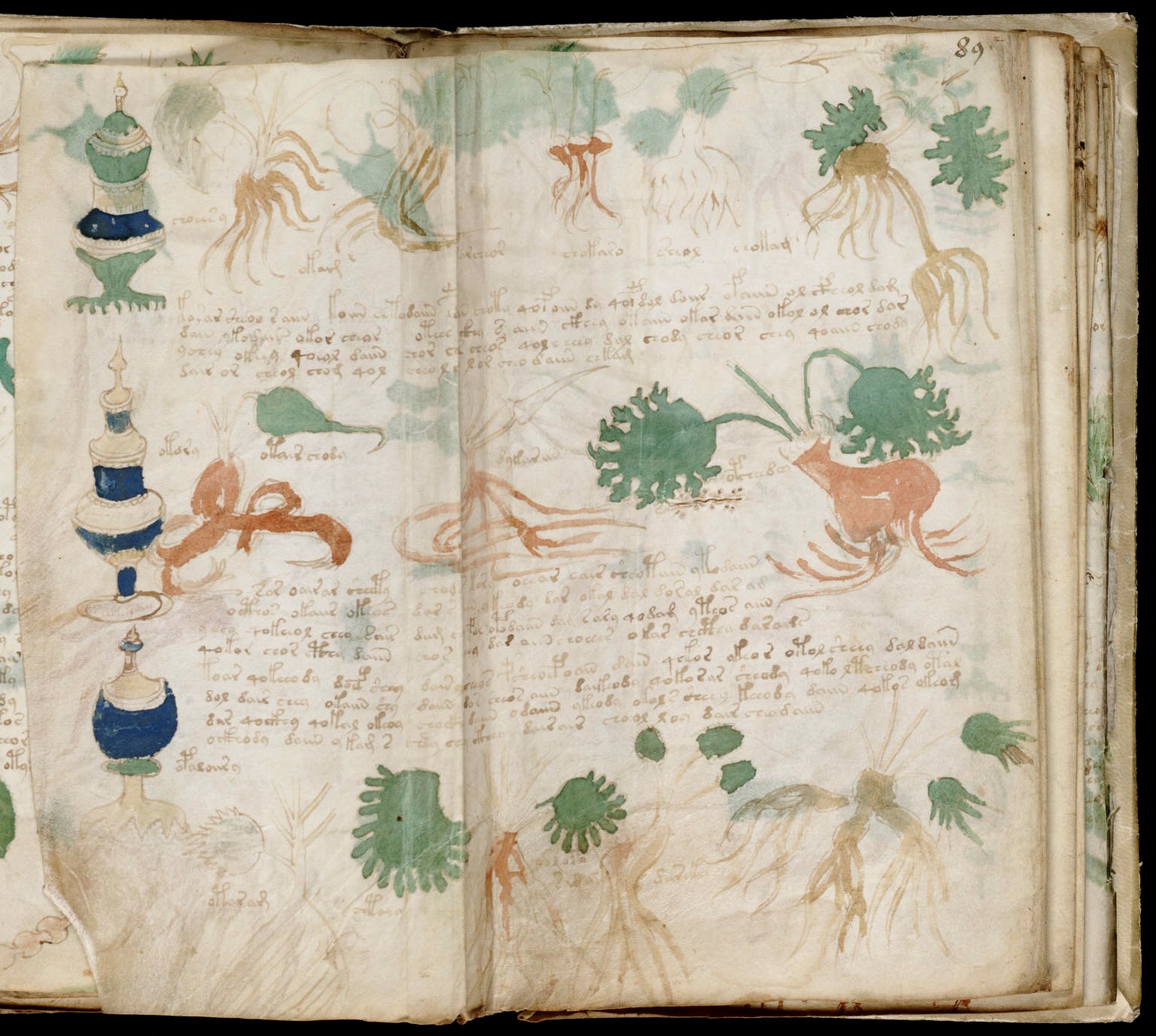 Voynich-Manuscript-1006234.jpg