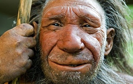 Чем гомо сапиенс отличается от неандертальца