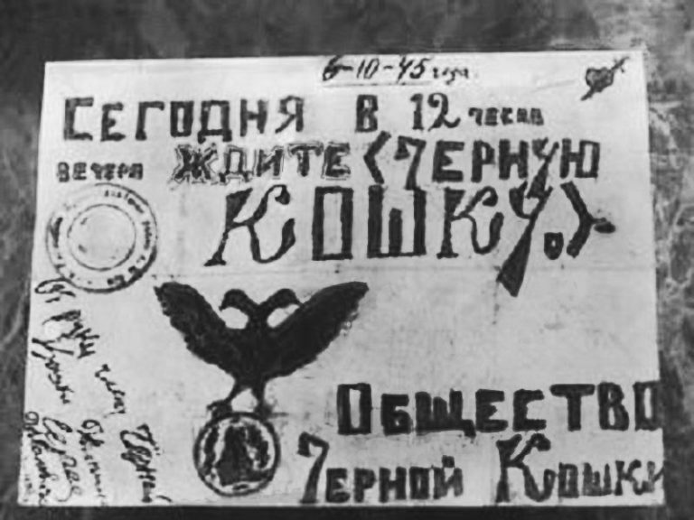Черная Кошка Орел Интернет Магазин