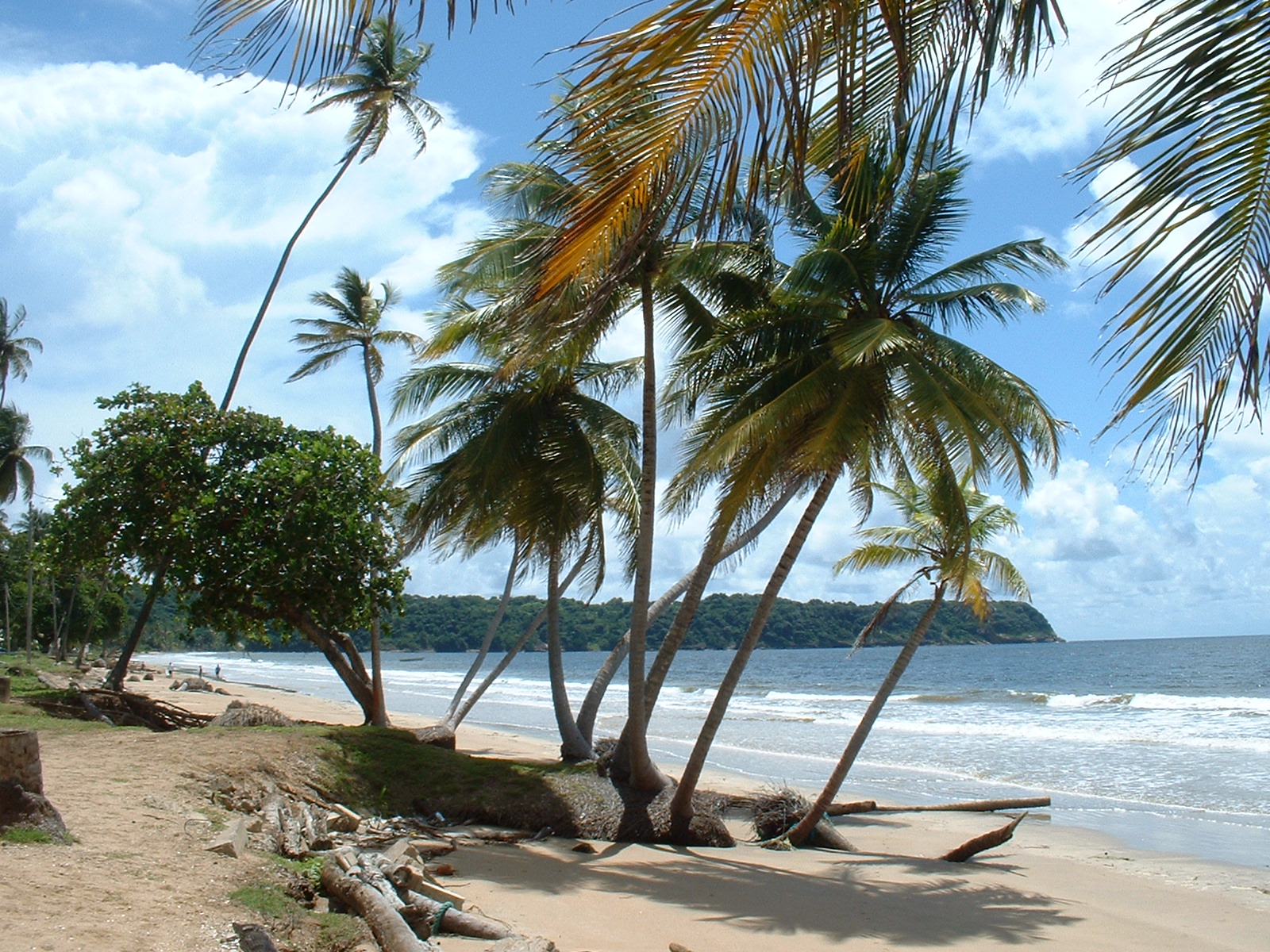 Тринидад и Тобаго климат