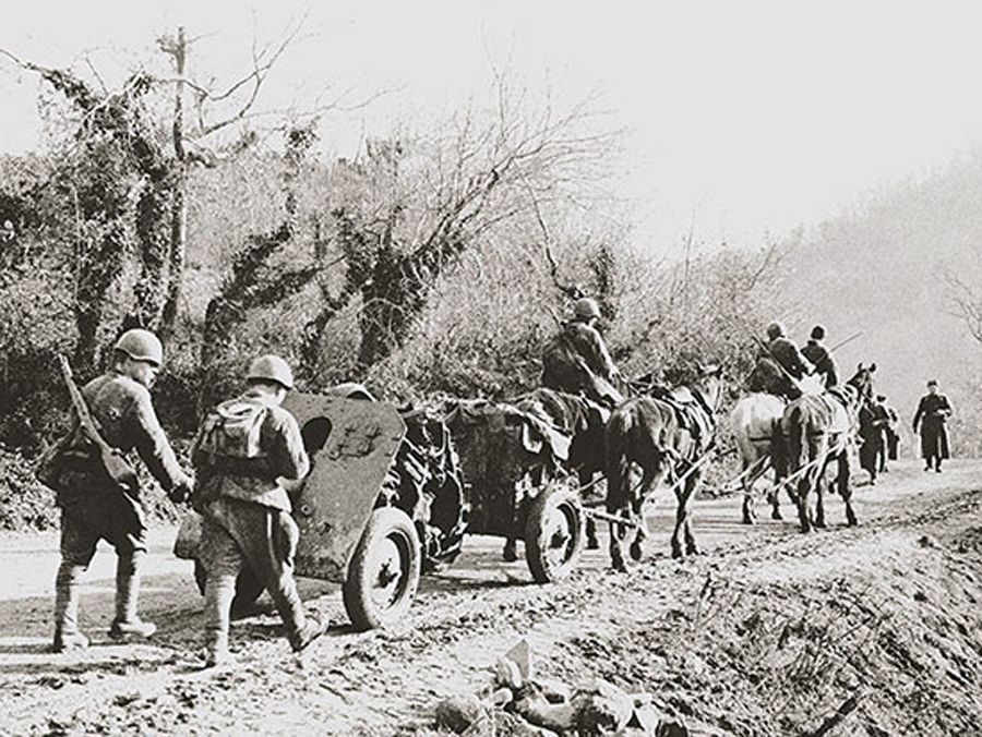 Лошади на войне 1941 1945 фото