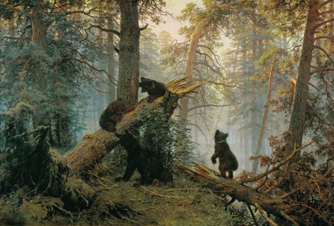 Картина Шишкина «Утро в сосновом лесу»: что не так с медведями