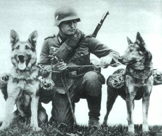 Фото Любимой Немецкой Овчарки Гитлера