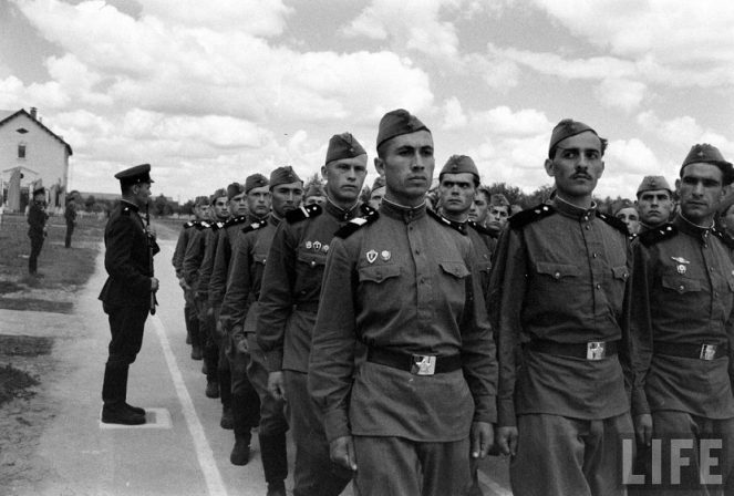 Как маршал Жуков изменил Советскую армию в 1956 году