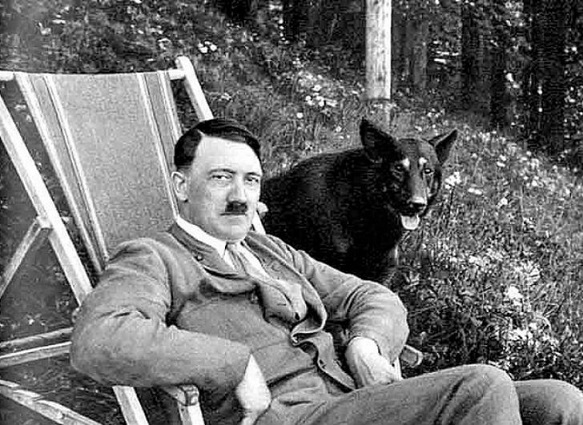Что Гитлер сделал со своими собаками перед смертью - Русская семерка