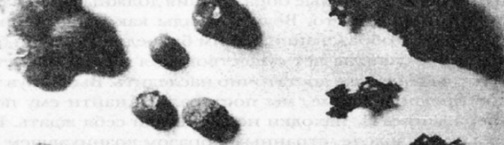Черные сферы неприродного происхождения: какую аномалию обнаружили на Онежском озере в 1961 году