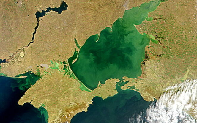 Азовское море: что не так с «большой лужей»