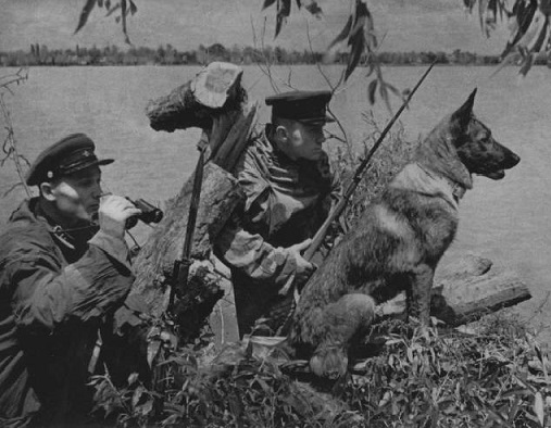 «Рыбная война» на Камчатке: как советские пограничники сражались с японскими браконьерами