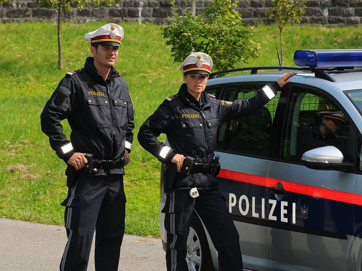 Полицейские германии