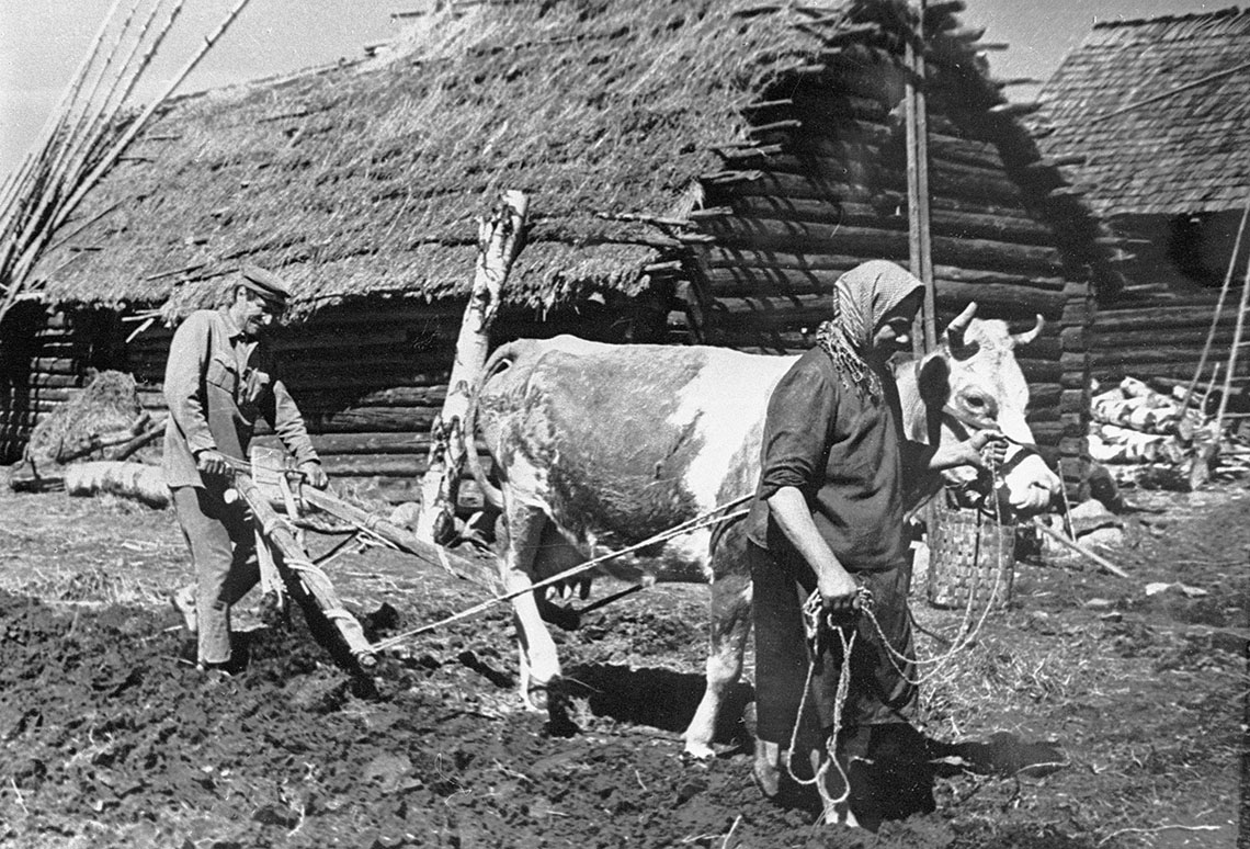 Тыл колхозы в ВОВ 1941-1945